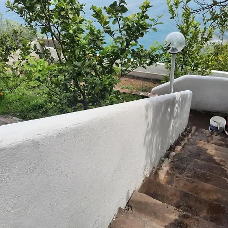 Paradise فندق مبيت وإفطار 4*