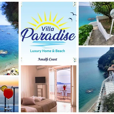 Paradise 4*