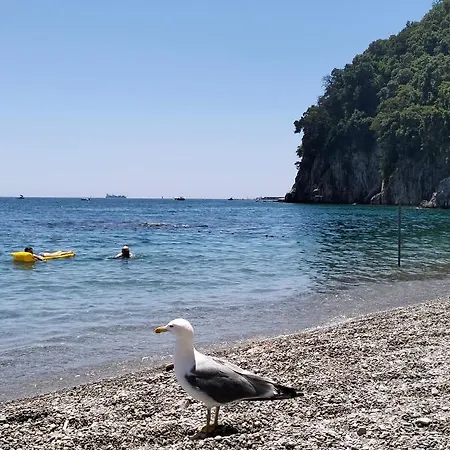 فندق مبيت وإفطار Paradise Vietri