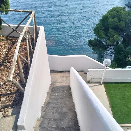 Paradise 4*