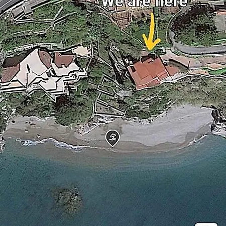 Paradise 4*